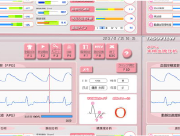 抹消血流診断